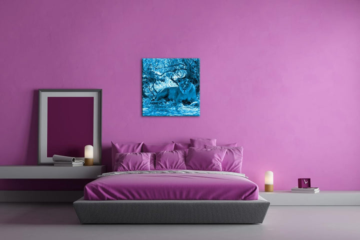 deyoli ruhige Löwin Format: 60x60 Effekt: Monocrome Blau als Leinwandbild, Motiv fertig gerahmt auf