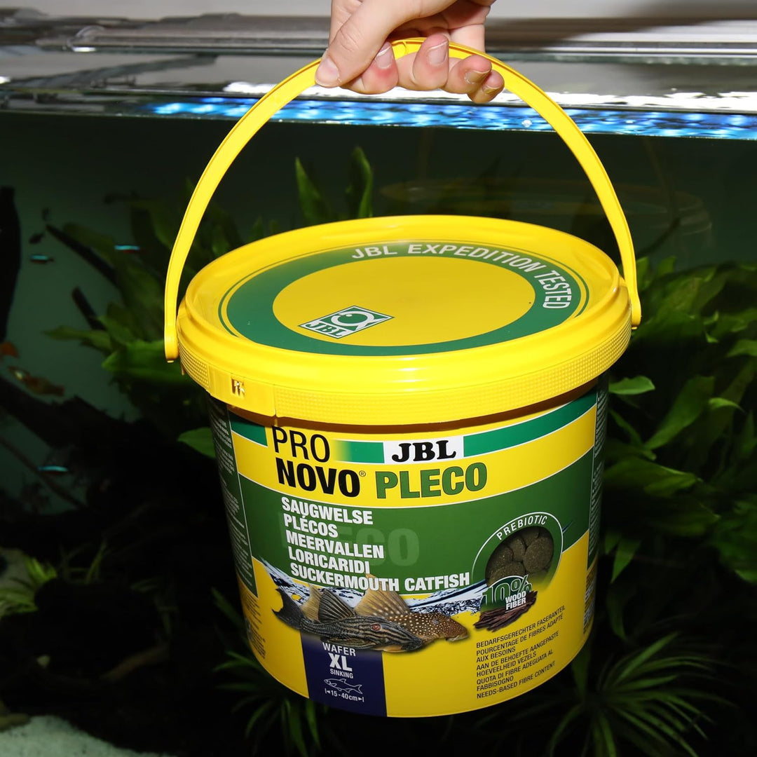 JBL PRONOVO PLECO WAFER, Futterwafer für Saugwelse von 15-40 cm, Fischfutter, Grösse XL, 5,5 l ProNo