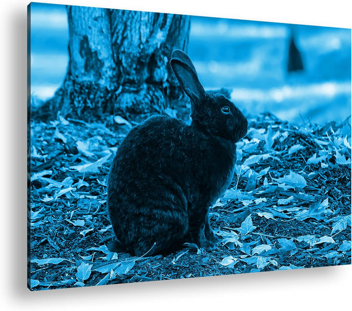 deyoli edler Schwarzer Hase Format: 80x60 Effekt: Monocrome Blau als Leinwand, Motiv fertig gerahmt
