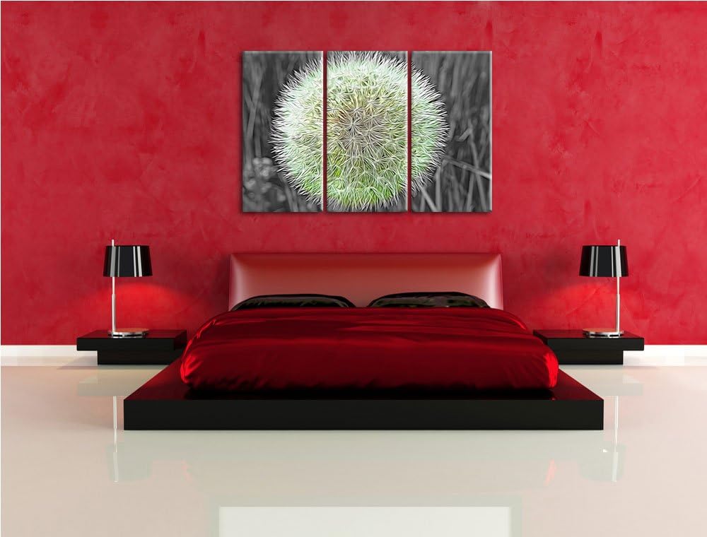 klassische zarte Pusteblume schwarz/weiss Deluxe 3-Teiler Leinwandbild 120x80 Bild auf Leinwand, XXL