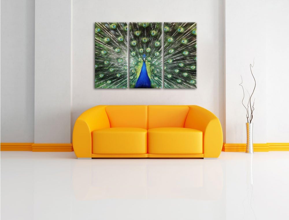 Pixxprint Schöner Pfau mit seinem Gefieder Kunst Buntstift Effekt 3-Teiler Leinwandbild 120x80 Bild