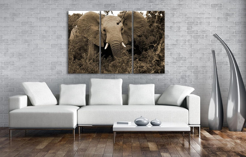 Afrikanischer Elefant in der Natur Format: 3-teilig 120x80 Effekt: Sepia als Leinwandbild, Motiv fer