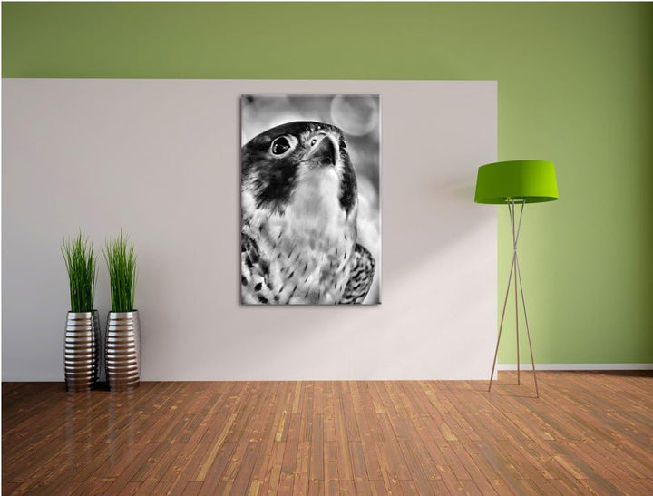 Pixxprint schöner Grauer Adler als Leinwandbild/Grösse: 100x70 cm/Wandbild/Kunstdruck/fertig bespann