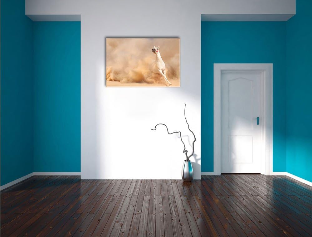 Weisses Pferd in der Wüste Format: 100x70 auf Leinwand, XXL riesige Bilder fertig gerahmt mit Keilra