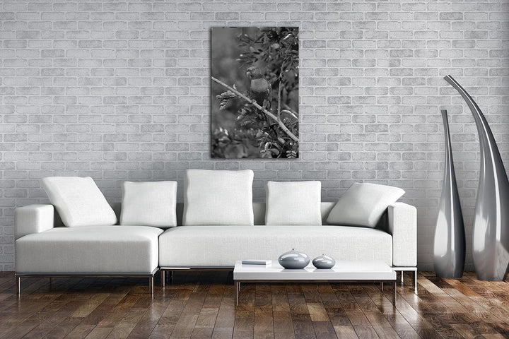 Allfarblori Papagei in der Natur Effekt: Schwarz/Weiss im Format: 80x60 als Leinwandbild, Motiv fert