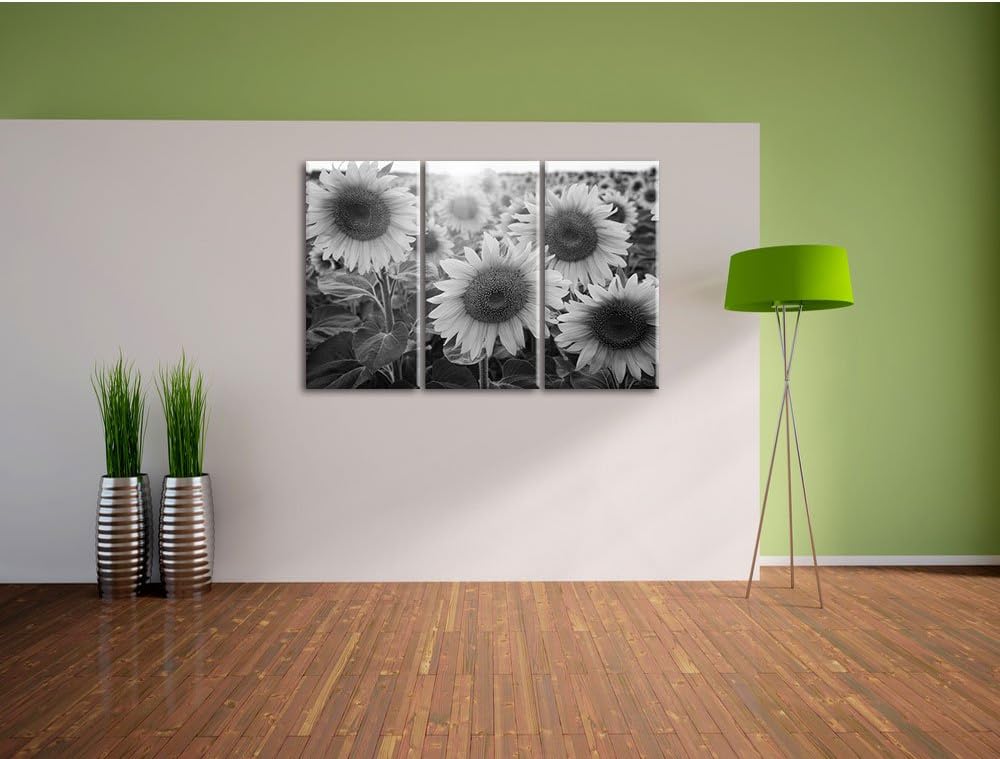 Pixxprint Sonnenblumen auf dem Feld als Leinwandbild | Grösse: 3 Teilig (120x80) | Wandbild| Kunstdr