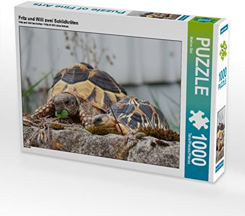 CALVENDO Puzzle Fritz und Willi Zwei Schildkröten 1000 Teile Lege-Grösse 64 x 48 cm Foto-Puzzle Bild