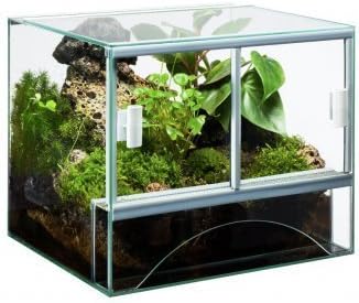 Glas Terrarium mit Belüftung 30x25x25 cm 30 25