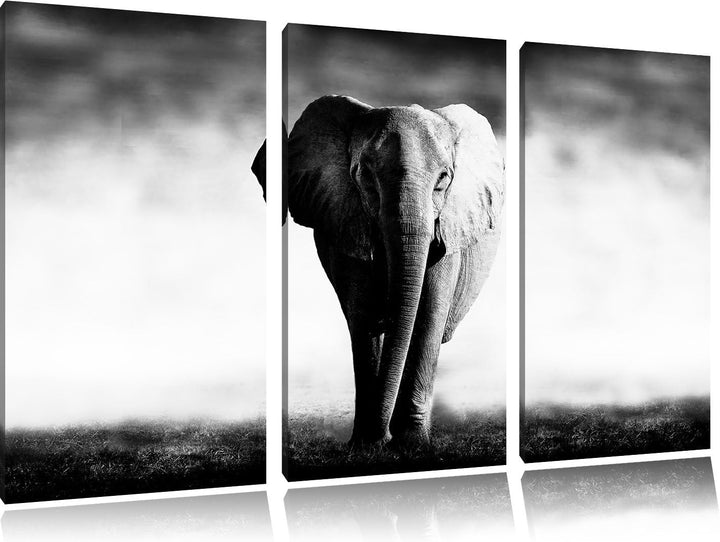 Elefant im Alleingang schwarz/weiss 3-Teiler Leinwandbild 120x80 Bild auf Leinwand, XXL riesige Bild
