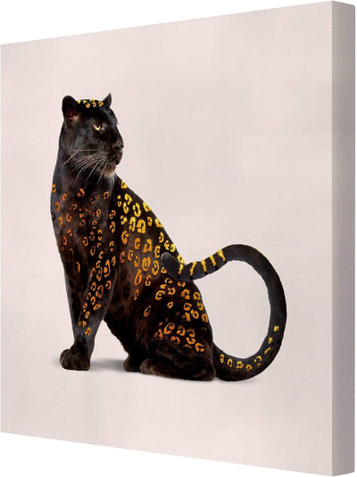 Leinwandbild Jonas Loose Goldener Panther Quadrat 1:1 30 x 30cm Canvas 30cm x 30cm - Canvas, 30cm x