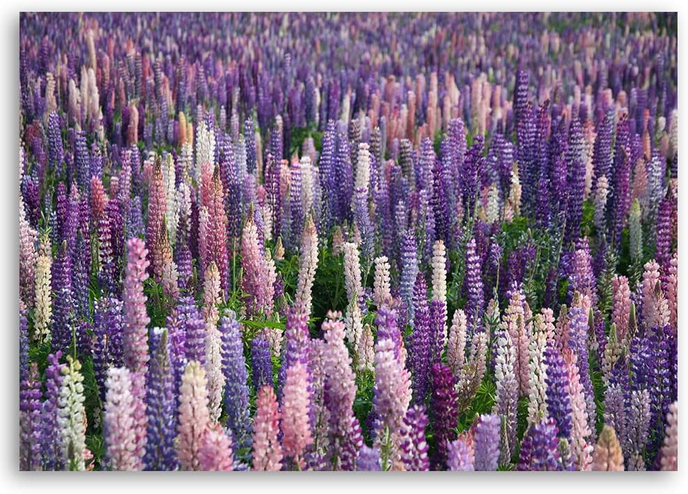 Feeby Vlies Leinwandbild Blumen Neuseeland Wiese 90x60 cm Druckbild Wandbild Wanddekoration Deko Wan