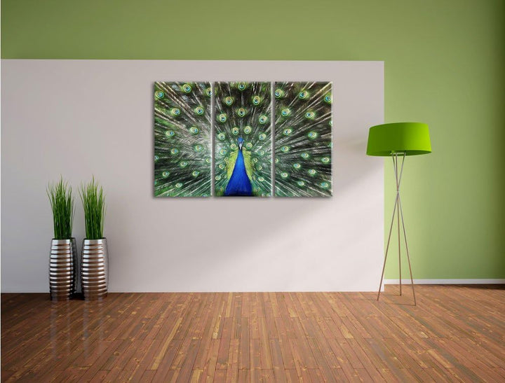 Pixxprint Schöner Pfau mit seinem Gefieder Kunst Buntstift Effekt 3-Teiler Leinwandbild 120x80 Bild