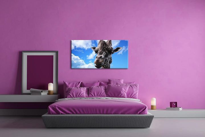 Fotogene Giraffe Panorama 60x30 cm als Leinwandbild, Motiv fertig gerahmt auf Echtholzrahmen, Hochwe