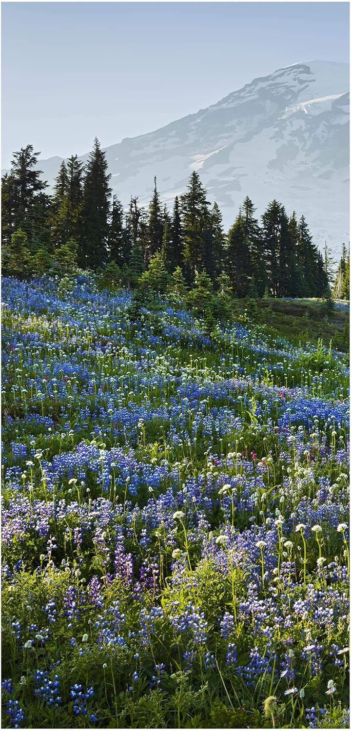 Bilderwelten Raumteiler Bergwiese mit Blumen vor Mt. Rainier 250x120cm ohne Halterung 250 x 120cm oh