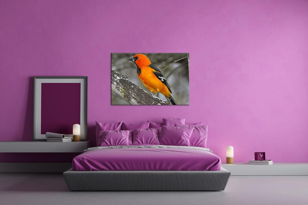 deyoli Anmutiger Vogel Format:90x60 cm als Leinwandbild, Motiv fertig gerahmt auf Echtholzrahmen, Ho