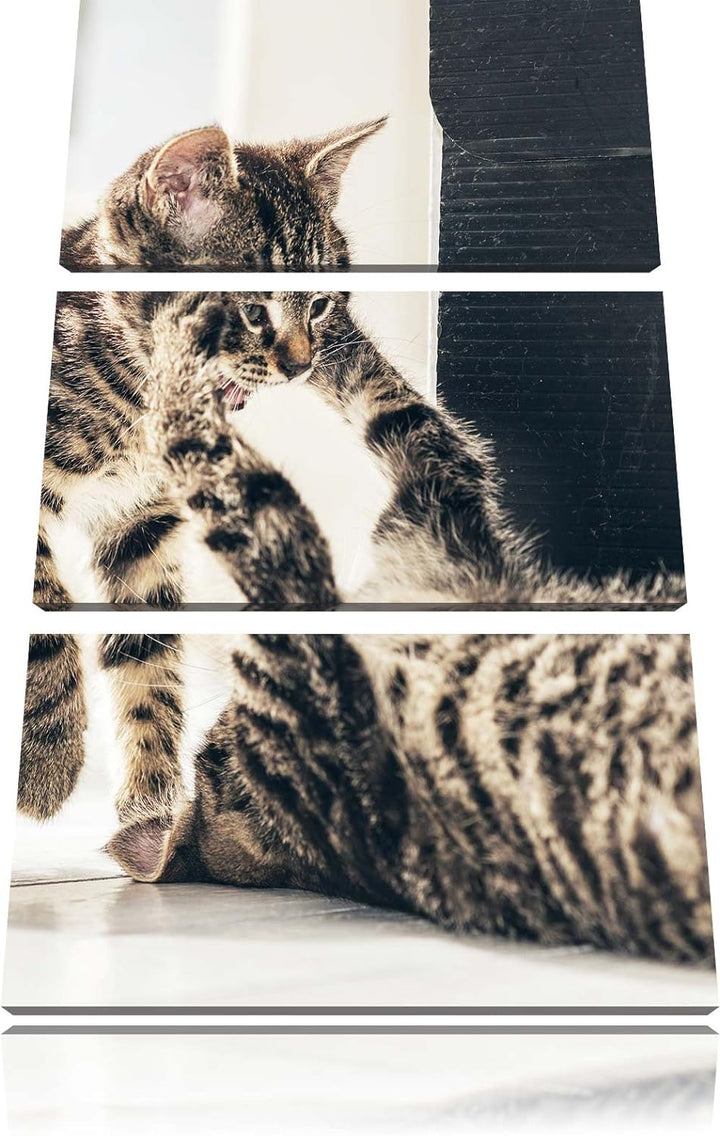 Pixxprint Fighting Cats 3-Teiler Leinwandbild 120x80 Bild auf Leinwand