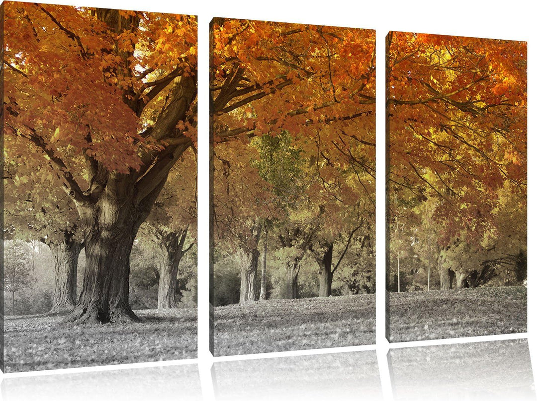 Pixxprint schöne Herbstlandschaft als Leinwandbild/Grösse: 3 Teilig (120x80 cm) cm/Wandbild/Kunstdru