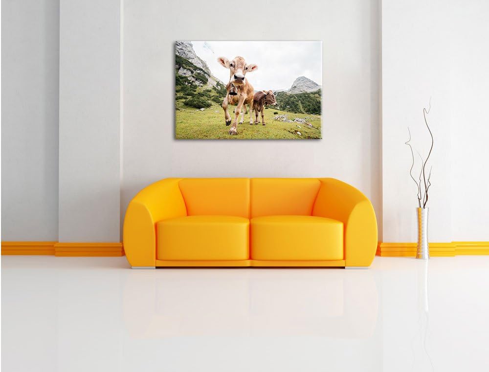 Almkuh auf der Weide, Format: 100x70 auf Leinwand, XXL riesige Bilder fertig gerahmt mit Keilrahmen,