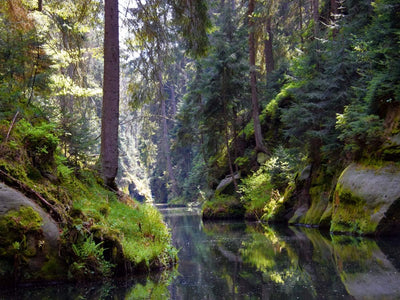 CALVENDO Puzzle Kirnitzschtal im Elbsandsteingebirge 1000 Teile Lege-Grösse 64 x 48 cm Foto-Puzzle B