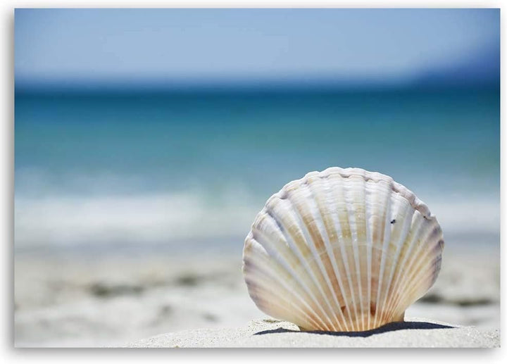 Feeby Bilder Wohnzimmer Muscheln Strand Meer XXL 90x60 cm 1Teilig Schlafzimmer Flur Wandbilder Leinw