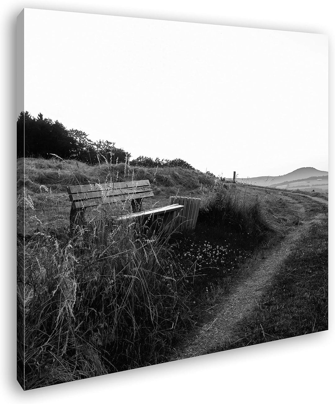 deyoli ruhige Bank am Feldweg Format: 70x70 Effekt: Schwarz&Weiss als Leinwandbild, Motiv fertig ger
