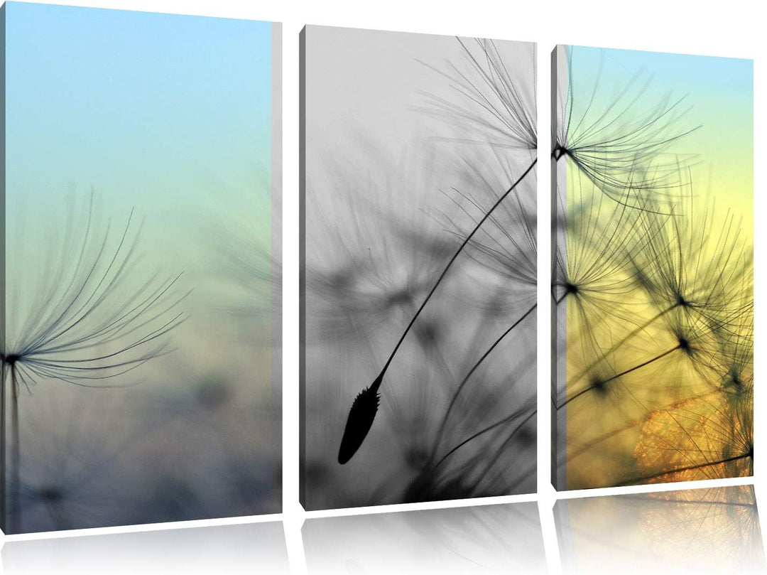 Pusteblumensamen vom Winde verweht schwarz/weiss 3-Teiler Leinwandbild 120x80 Bild auf Leinwand, XXL