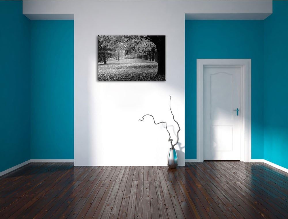 schöner Park im Herbst schwarz/weiss Format: 100x70 auf Leinwand, XXL riesige Bilder fertig gerahmt