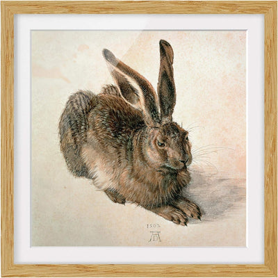 Bild mit Passepartout - A. Dürer - Junger Feldhase - Farbe Eiche 30 x 30cm 30cm x 30cm Eiche, 30cm x