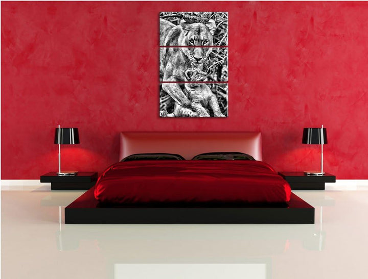 Pixxprint Löwin spielt mit Jungtier als Leinwandbild/Grösse: 3 Teilig (120x80 cm) cm/Wandbild/Kunstd