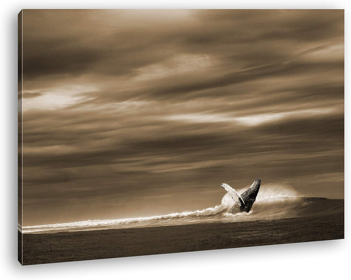 deyoli einsamer Wal Format: 80x60 Effekt: Sepia als Leinwandbild, Motiv fertig gerahmt auf Echtholzr