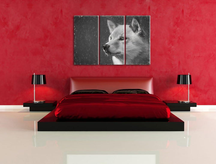 anmutiger Finnen-Spitz im Gras NewArt 3-Teiler Leinwandbild 120x80 Bild auf Leinwand, XXL riesige Bi