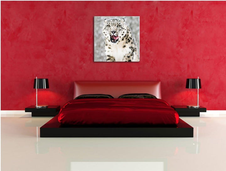 Leopard im Schnee, Format: 70x70 auf Leinwand, XXL riesige Bilder fertig gerahmt mit Keilrahmen, Kun