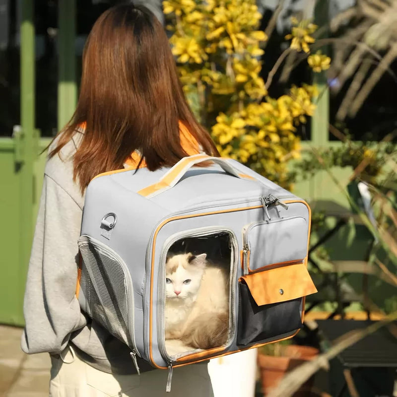 PETCUTE Haustiertragetasche,Hunde Transportbox mit Herausnehmbarer Matte,Faltbare Katzenrucksack Hun