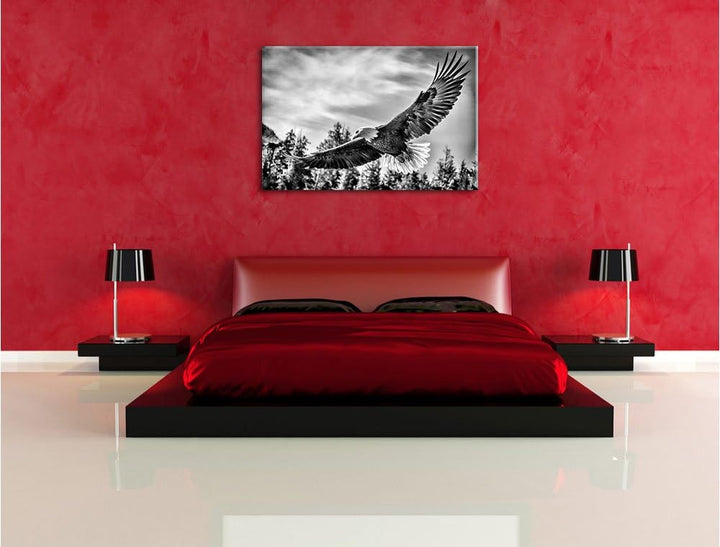 Monocrome, Adler, Format: 100x70 auf Leinwand, XXL riesige Bilder fertig gerahmt mit Keilrahmen, Kun