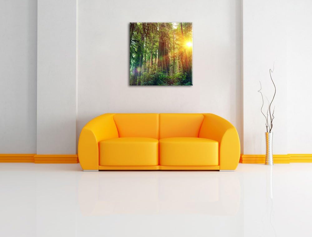 Wald bei Sonnenlicht, Format: 70x70 auf Leinwand, XXL riesige Bilder fertig gerahmt mit Keilrahmen,