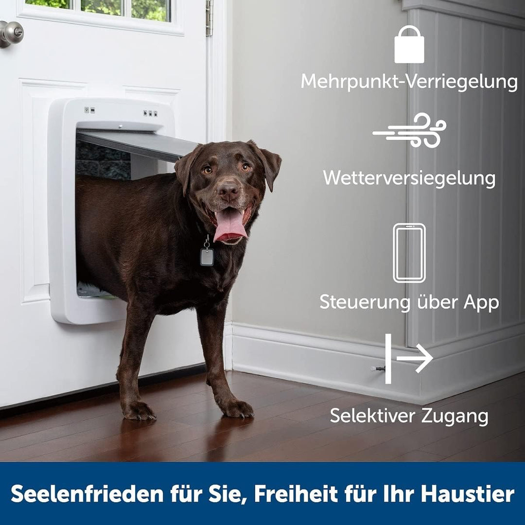 PetSafe SmartDoor Vernetzte Haustiertür, Per App steuerbar, Selektiver Zugang, Benutzerdefinierte Ze
