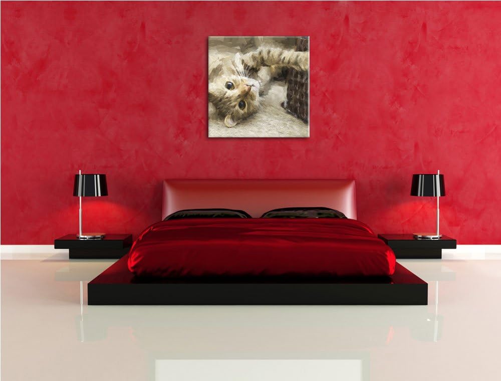 Pixxprint Katze streckt Sich als Leinwandbild Quadratisch/Grösse: 70x70 / Wandbild/Kunstdruck/fertig
