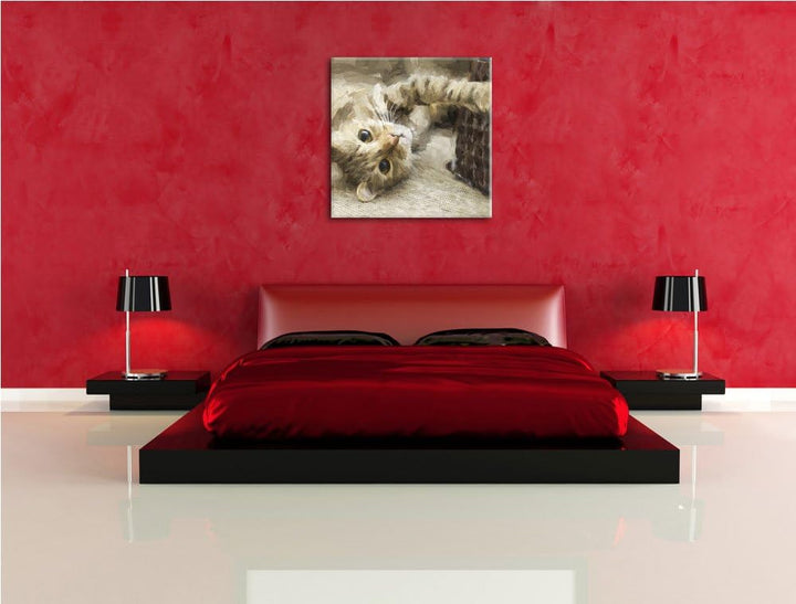 Pixxprint Katze streckt Sich als Leinwandbild Quadratisch/Grösse: 70x70 / Wandbild/Kunstdruck/fertig
