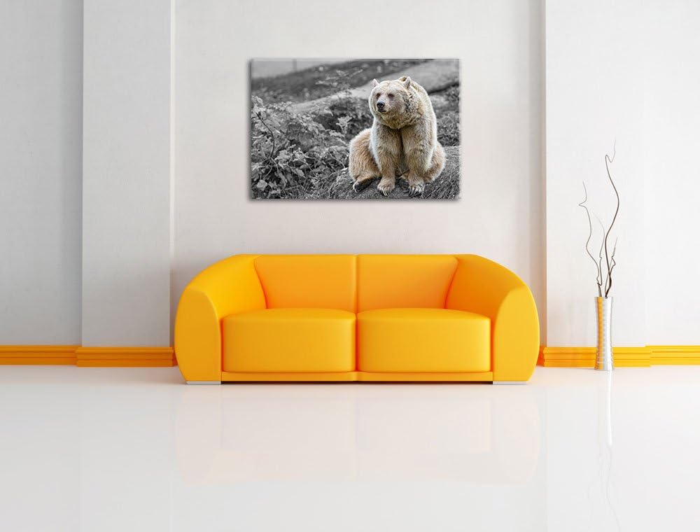 niedlicher Grizzly auf Stein schwarz/weiss auf Leinwand, XXL riesige Bilder fertig gerahmt mit Keilr