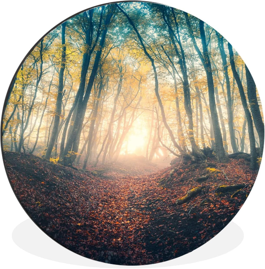 MuchoWow Wandbild Rund Wanddeko Deko Wohnzimmer Bilder 30x30 cm Wald - Nebel - Sonne - Herbst, 30x30