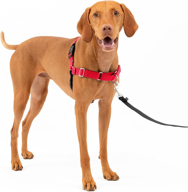 PetSafe Easy Walk Hundegeschirr. rot / schwarz M, rot / schwarz M
