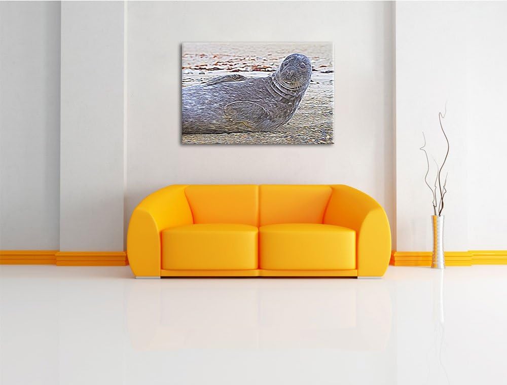 dunkle Robbe entspannt an Kiesstrand Spezial Format: 100x70 cm auf Leinwand, XXL riesige Bilder fert