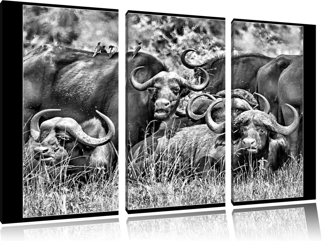 Pixxprint Monocrome, grosse Kaffernbüffel Herde 3-Teiler Leinwandbild 120x80 Bild auf Leinwand