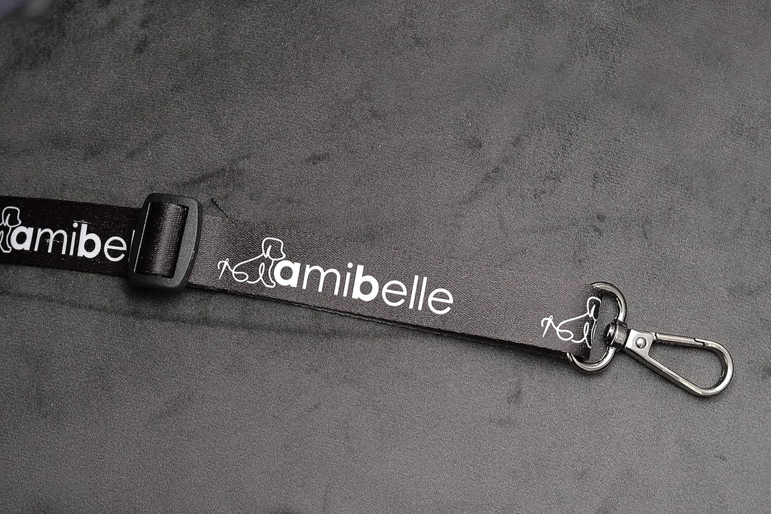 Luxuriös Hunde Auto Sitz | Autositz für Hunde, Rückbank, Vordersitz | Universal Waschbar Hundeautosi