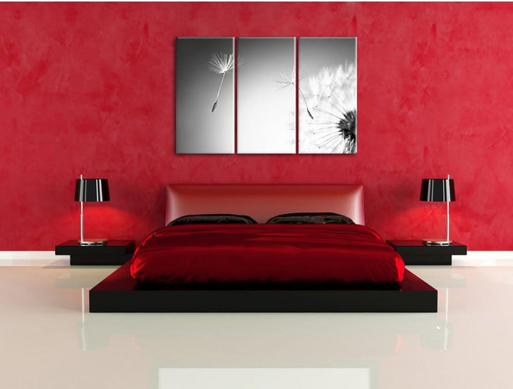Pixxprint Löwenzahn Schirmflieger Pusteblume Kunst B&W 3-Teiler Leinwandbild 120x80 Bild auf Leinwan