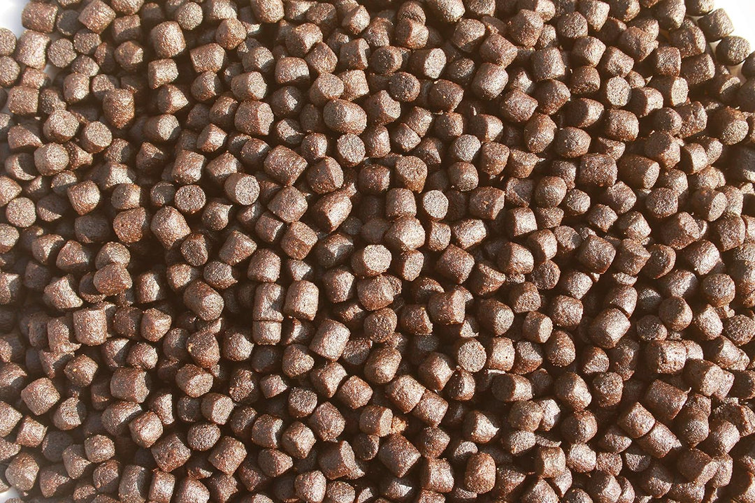 Tomodachi Koifutter, Schwimmfutter, Wachstumsfutter Koi, Energiefutter, Aufzuchtfutter Koi, Premium