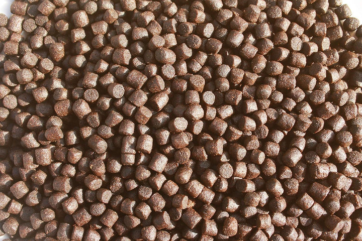 Tomodachi Koifutter, Schwimmfutter, Wachstumsfutter Koi, Energiefutter, Aufzuchtfutter Koi, Premium