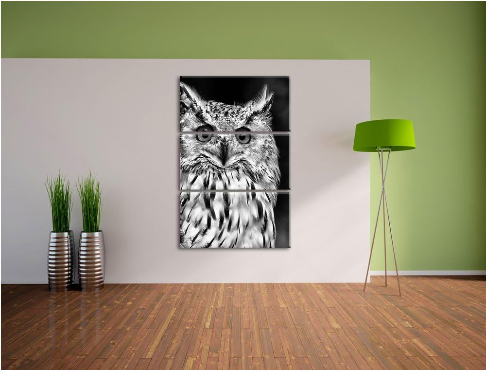 Pixxprint aufmerksame Waldohreule / 3-Teilig/Gesamtmass 120cm Leinwandbild bespannt auf Holzrahmen/W