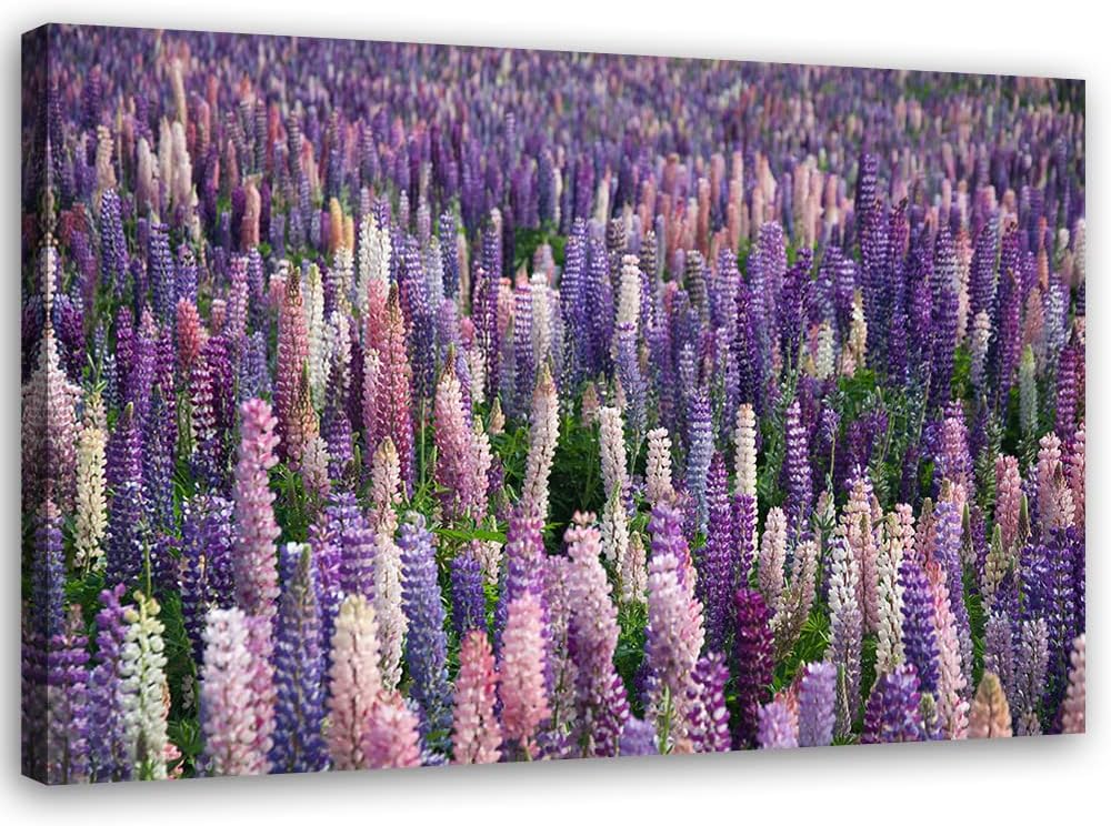Feeby Vlies Leinwandbild Blumen Neuseeland Wiese 90x60 cm Druckbild Wandbild Wanddekoration Deko Wan