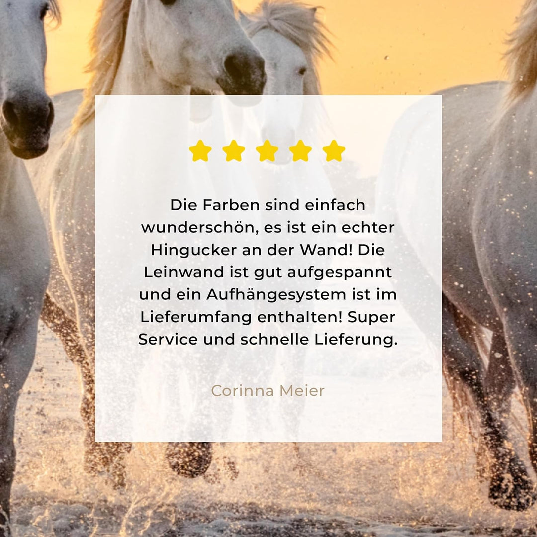 MuchoWow Leinwand Bilder, Einzigartige Wanddeko mit Rahmen, Pferde - Sonne - Meer - Strand - Tiere,